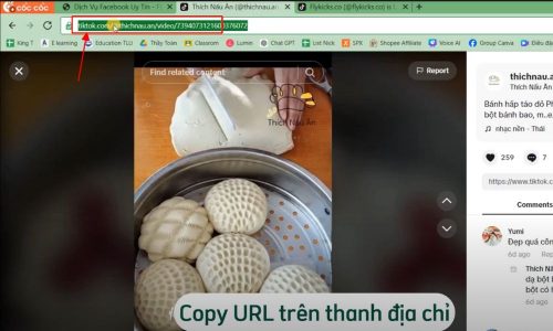 Lấy link đối với video