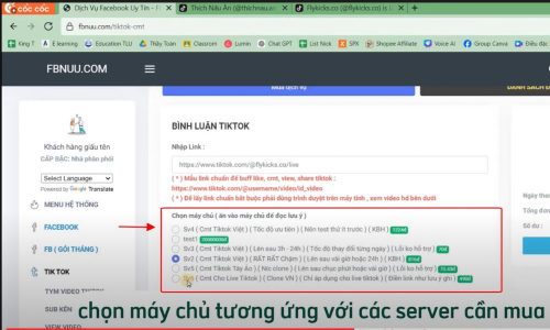 Lựa chọn máy chủ phù hợp