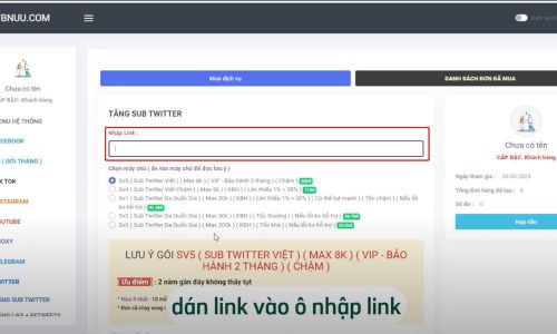 Dán liên kết vào mục "Nhập link"