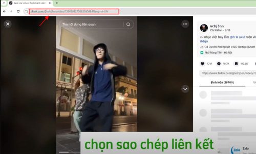 Lấy link video