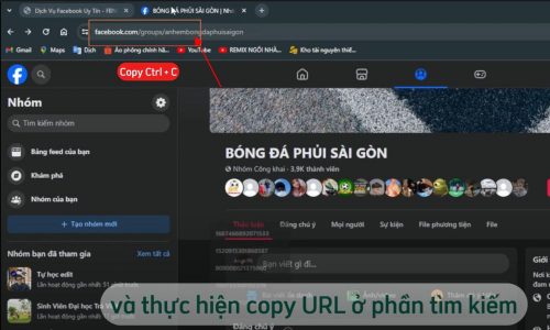 Copy link của group