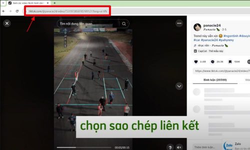 Lấy link video