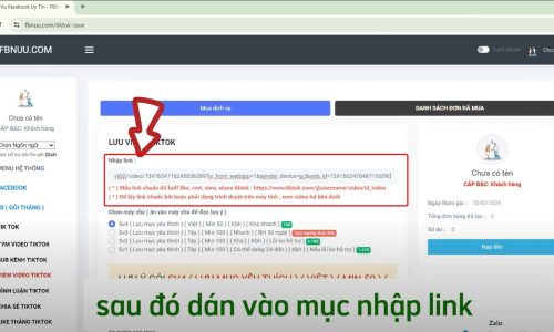 Dán liên kết vào mục "Nhập link"