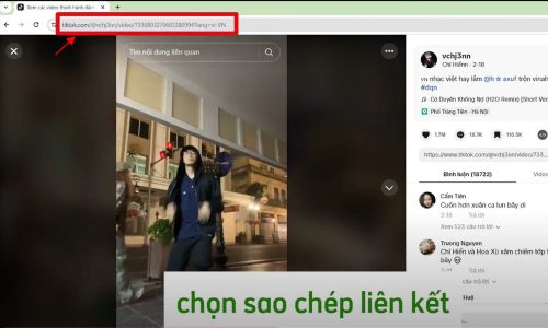 Lấy link video