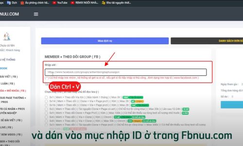 Dán link vào ô nhập ID