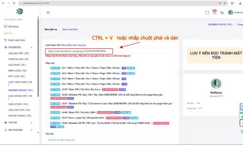 Dán link vào ô nhập link