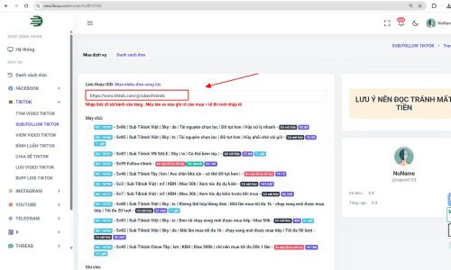 Dán liên kết vào mục "Link Hoặc UID"
