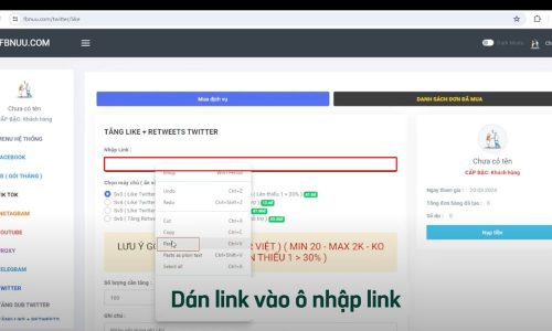 Dán liên kết vào mục "Nhập link"