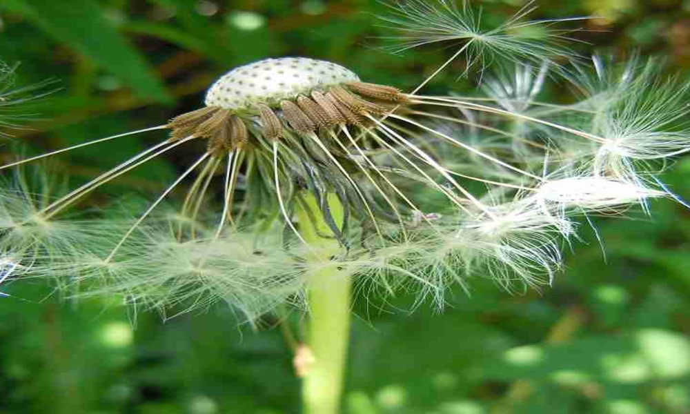 Nghiên cứu thị trường Shopee cần chọn sản phẩm dễ bán