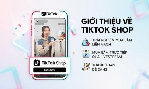 Tổng quan TikTok Shop cho người mới