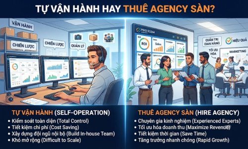 Tự vận hành hay thuê Agency sàn TMĐT