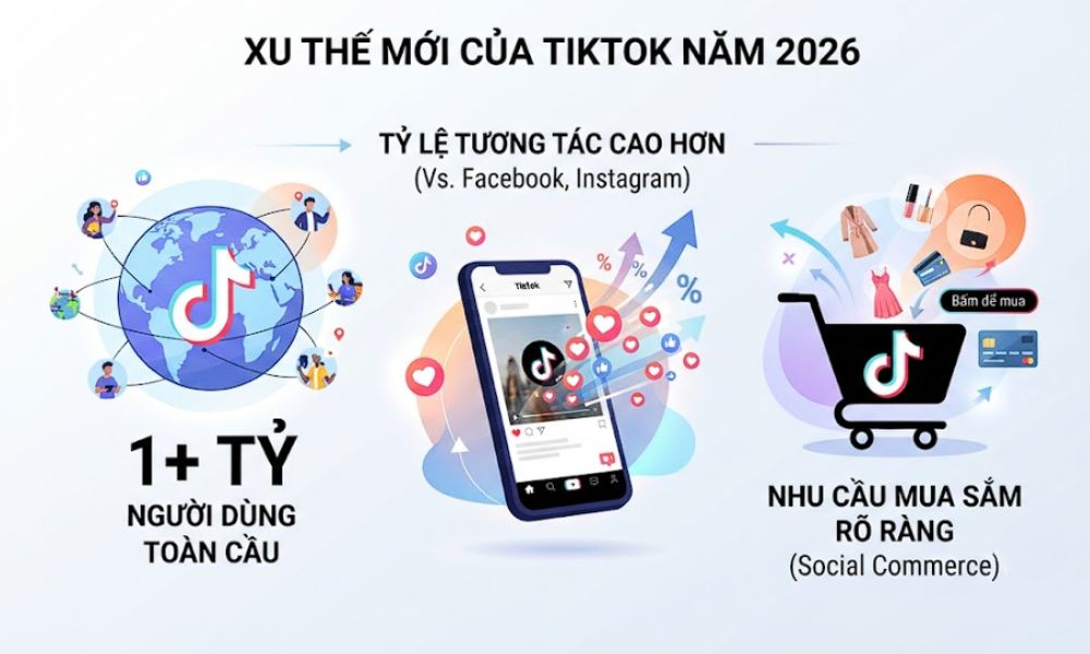 Xây kênh Tiktok bài bản để theo kịp xu hướng kinh doanh đa sàn
